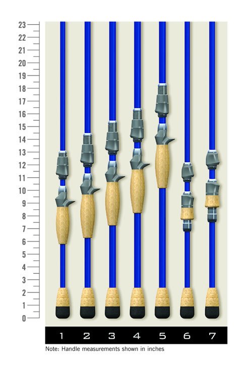 TBCS_HDL_Graphic