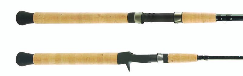 shimano teramar inshore rod