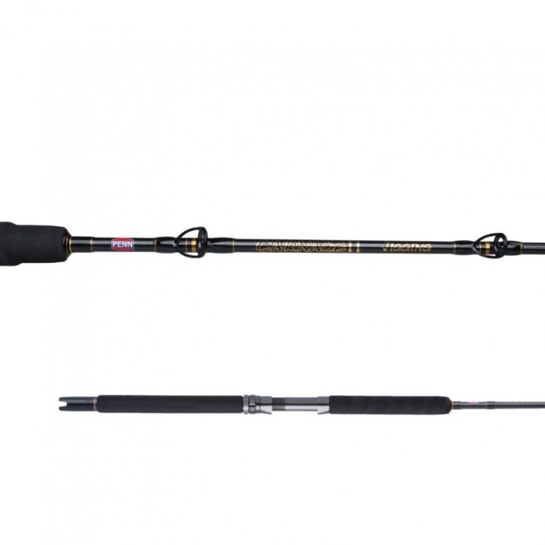 Penn Carnage III Slow Pitch Spinning Rod