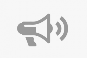 Bass Assasin Shads Chartreuse Silver Jpeg Q 85 Path Media Upload No Image Noimage Png W 767 H 767