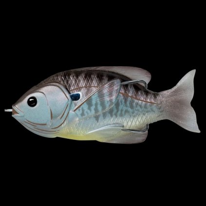 LIVETARGET Sunfish Hollow Body LIVETARGET Sunfish Hollow Body