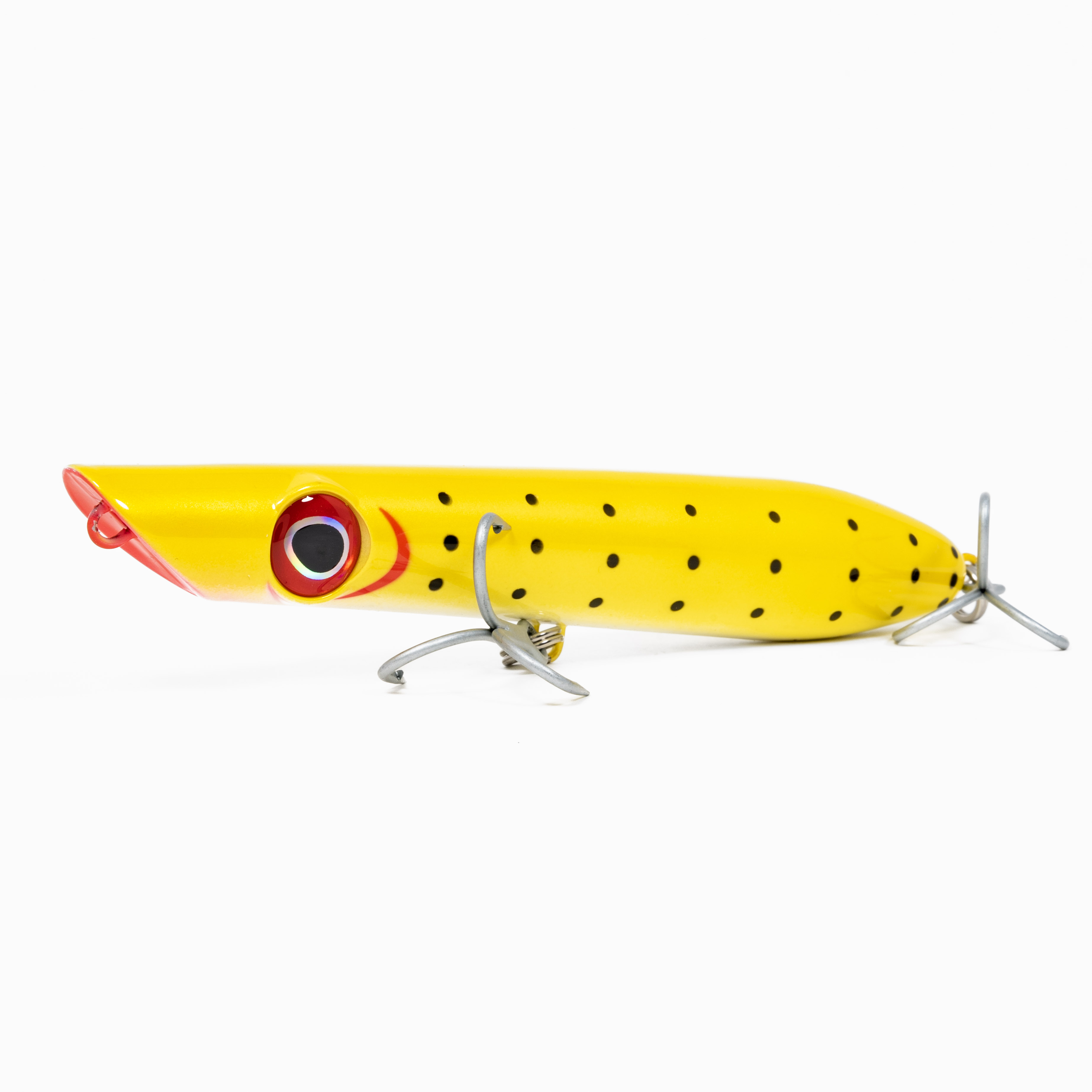 Baits & Lures for Fishing