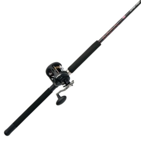  Fishing Conventional Reel Saltwater, for Catfish,  Salmon/Steelhead, 19+1 Strong Bearing, Magnetic Brake, 7.3:1 Speed Ratio  (Size : Right Hand) : Sports & Outdoors